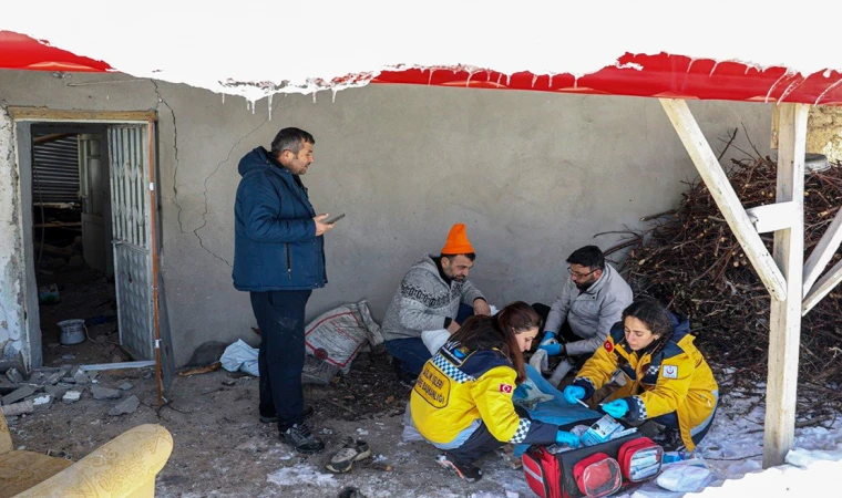 Depremzede hayvanlar da unutulmadı
