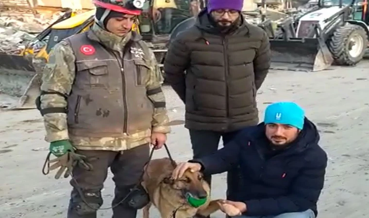 Hassas burun 'Sıla' tekrar görev başında!