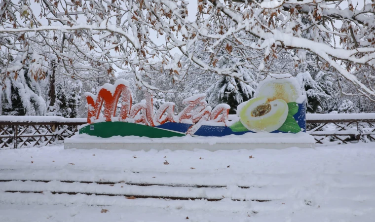 Kar, Malatya'ya çok yakıştı!