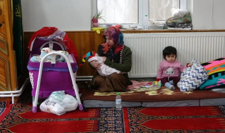2 haftalık Meva camide büyüyor