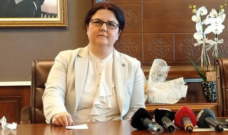 18 yaşından büyük herkese verilecek! Vatandaşlık maaşı başvurusu nasıl yapılır?