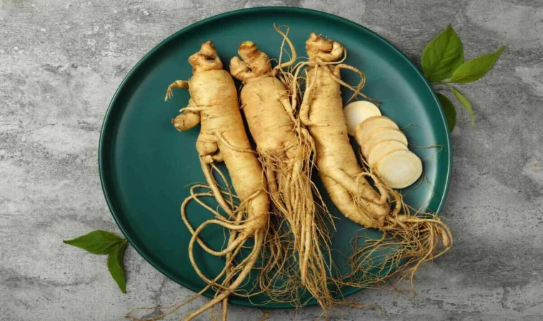 Asyalı kadınların vazgeçilmezi “Ginseng” yok satıyor! Hücreleri yeniliyor, yaşlanmaya savaş açıyor!