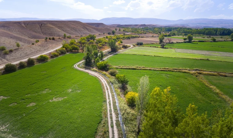 Malatya’da tarım! Malatya’da tarım ürünleri nelerdir? Malatya’da neler yetişir?
