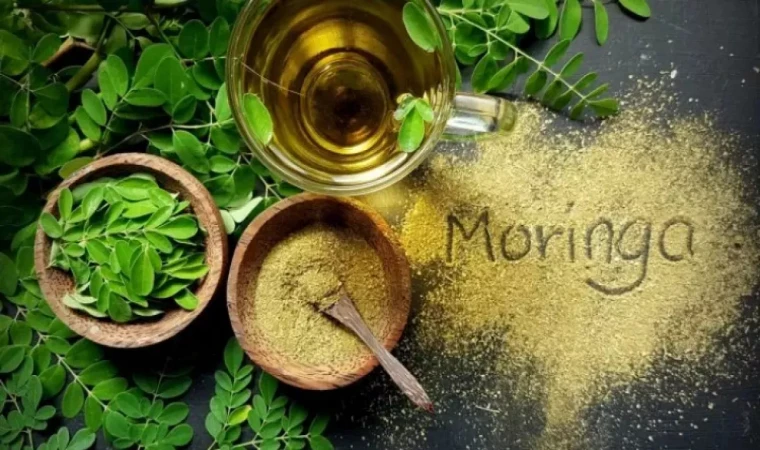 Yaza fit girmek isteyenler! Kalıcı tokluk iksiri “Moringa Çayı” ile ağır diyet listeleri rafa kalkıyor! Moringa çayı zayıflatır mı?