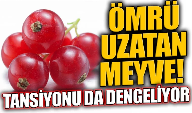 Canan Karatay yıllardır tüketiyor! O meyve günlük Omega 3 ihtiyacının tamamını karşılıyor!