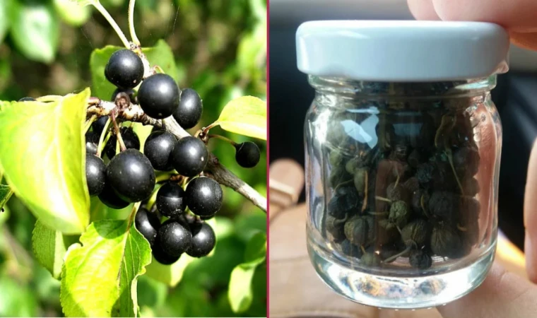 Düğün öncesi günde 2 kilo verdiren özel içecek! Hızlı kilo vermek isteyenin iştahını kesiyor!