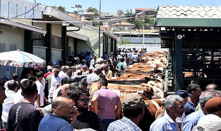 Canlı Hayvan Pazarı’nda, Arefe günü yoğunluğu