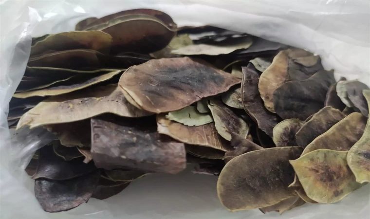 Tokluk hissi vererek, yağ yakımını hızlandırıyor! Doğal müshil etkisi ile 7 günde 3 kilo…