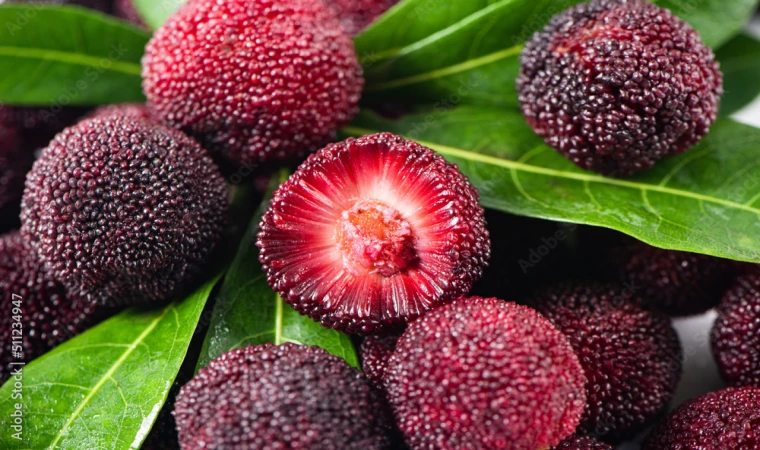 C vitamininde portakalı bile solluyor! Türkiye'de de yetişiyor ama kıymetini Çinliler biliyor
