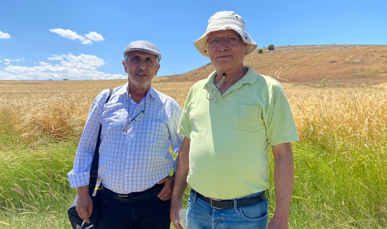 Fikri DEMİRTAŞ / Bir Bozkır Köyü Gebeli / Arapgir