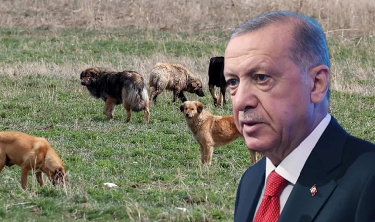 Erdoğan: Avrupa'da nasıl çözüldüyse biz de aynısını yapacağız!
