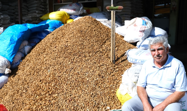 Erzincan’dan Malatya’ya acı kayısı çekirdeği yolculuğu!..