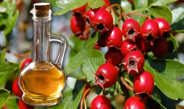 İç Anadolu'nun Altın Noktasında Yetişen, Vücudu Sıfırlayan ve C Vitamini Açısından Zengin O Besin