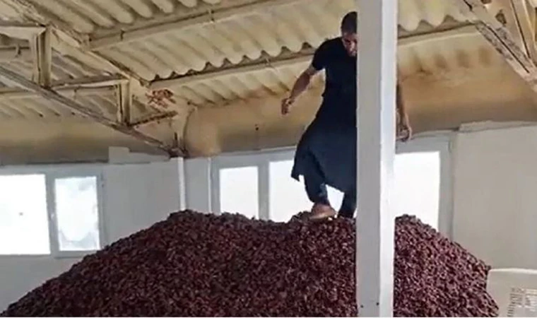 O üreticinin cezası belli oldu!..