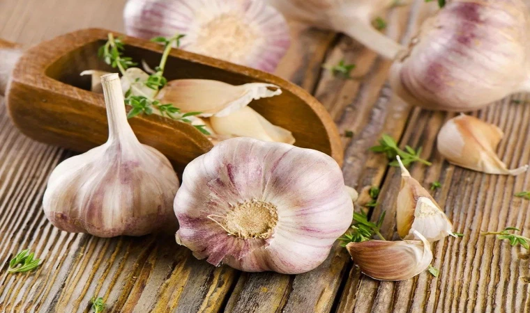 Sarımsak Neden Çürür ve Çözümü Nedir? Sarımsağın Çürümesine Son Veren 5 Etkili Yöntem!