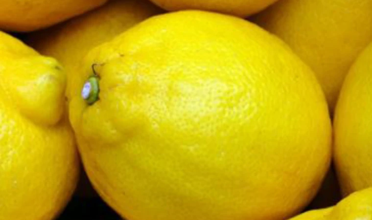 Limon nasıl saklanmalı?