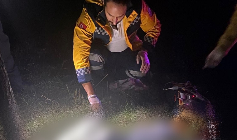 Arızayı gidermek isteyen tır şoförü Ali Hızlı, hayatını kaybetti