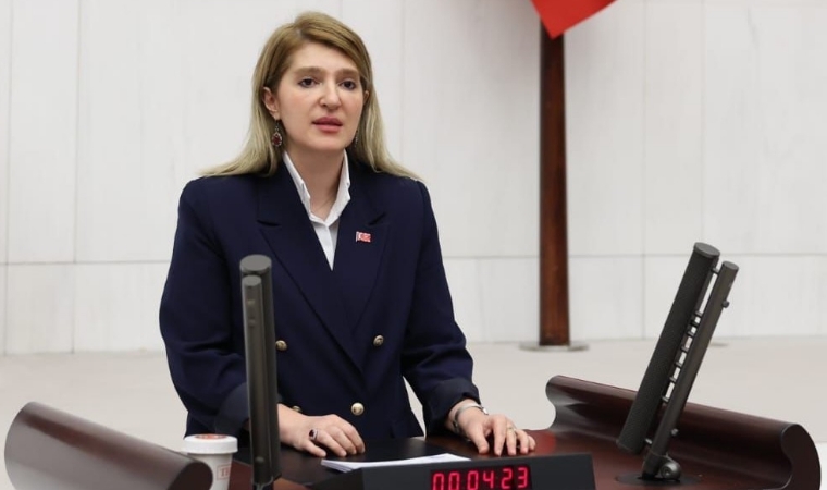 Deprem Bölgesi Malatya'da çalışmalarla ilgili son durum ne? Milletvekili Ölmeztoprak TBMM'de açıkladı