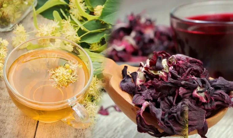 Ihlamur ve Hibiskus Bitkisinin Faydaları Nelerdir? Nasıl Demlenir?