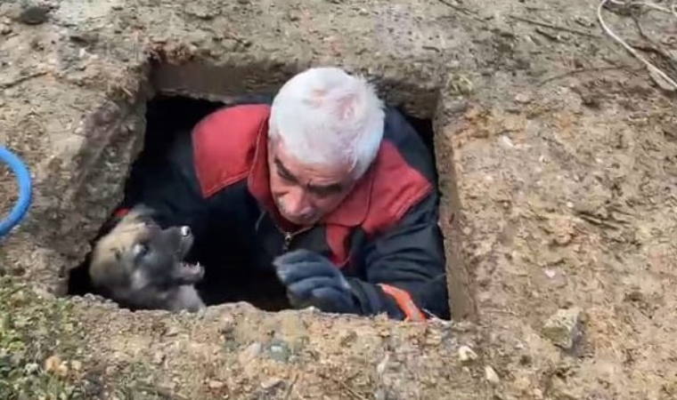 Malatya'da, yavru köpeğin imdadına, itfaiye ekipleri yetişti!