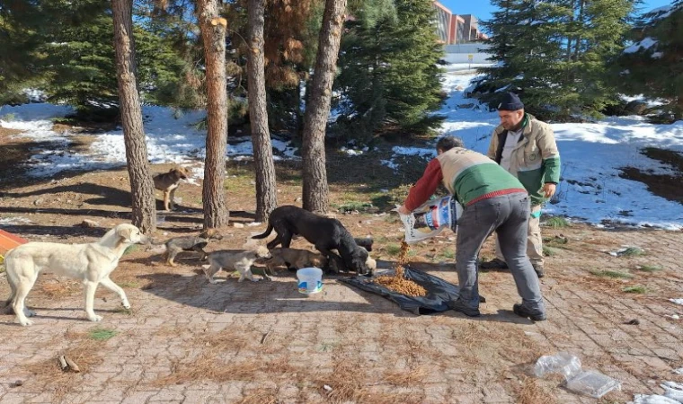 Malatya’da can dostları unutulmadı