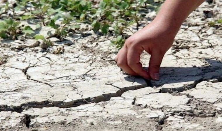 Malatya'da kuraklık tehlikesi!..