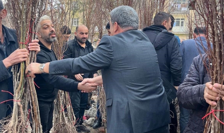 Muhtar Adayının Yenilikçi Kampanyası: Broşür Yerine Meyve Fidanı Dağıtımı