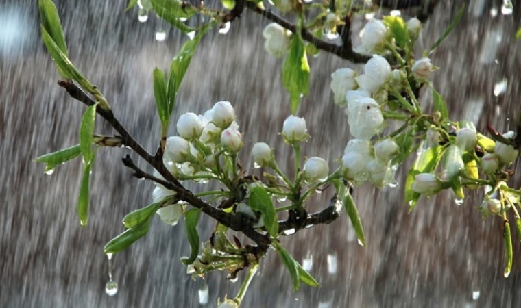Malatya Üzerinde Gök Deliniyor: Nisan Yağmurları Şehri Nasıl Etkileyecek?