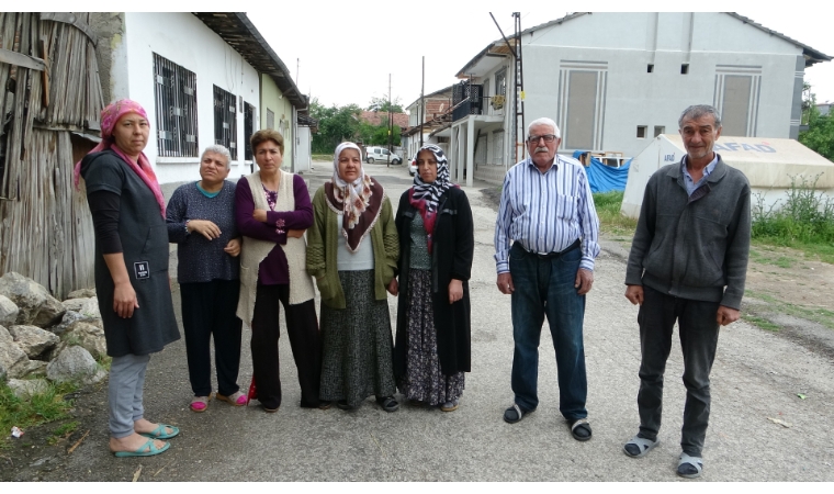 Başıboş Köpekler Vatandaşın Kabusu Oldu: Kiltepe Mahallesi Sakinleri Mağdur...