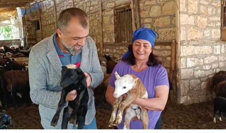 Devlet desteği ile başladığı yetiştiricilikte şimdi kurduğu tesisle binlerce hayvan sattı