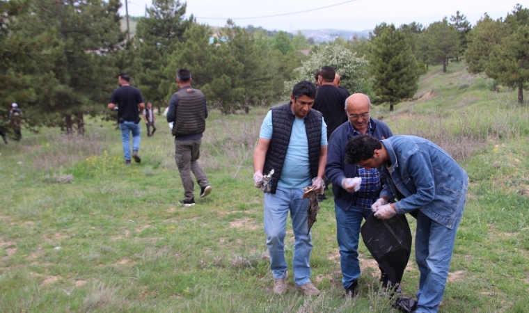 Malatya'da, Yangınlara Karşı ‘Orman Benim’ Kampanyası ile Temizlik Yapıldı