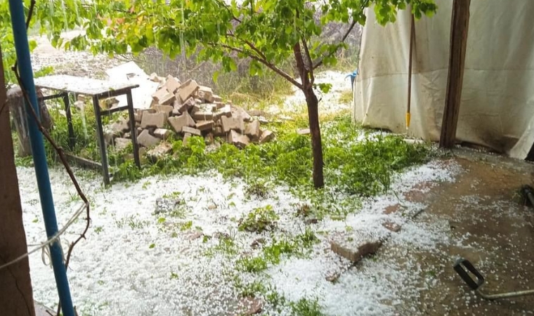 Malatyalı Üreticiler Tedirgin: Dolu Yağışı Kayısıya Zarar Verdi