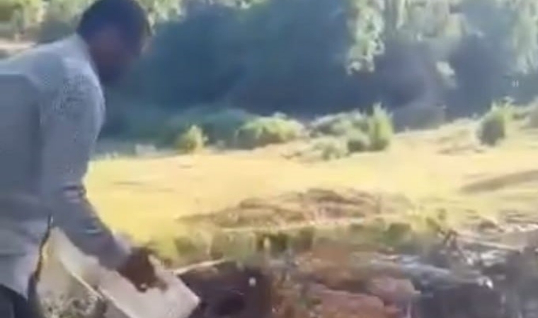 Kayısı Üreticisinin Düşük Fiyat Tepkisi: Kayısıları Dereye Döktü