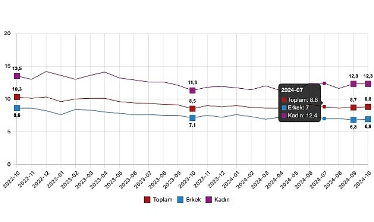 TÜİK: Ekim 2024’te İstihdam Artarken, İşsizlik Oranı %8,8’de Sabit Kaldı