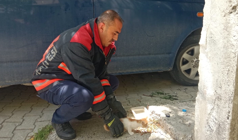 Bir Can Daha Kurtarıldı! Malatya’da Yürekleri Isıtan Kurtarma Operasyonu