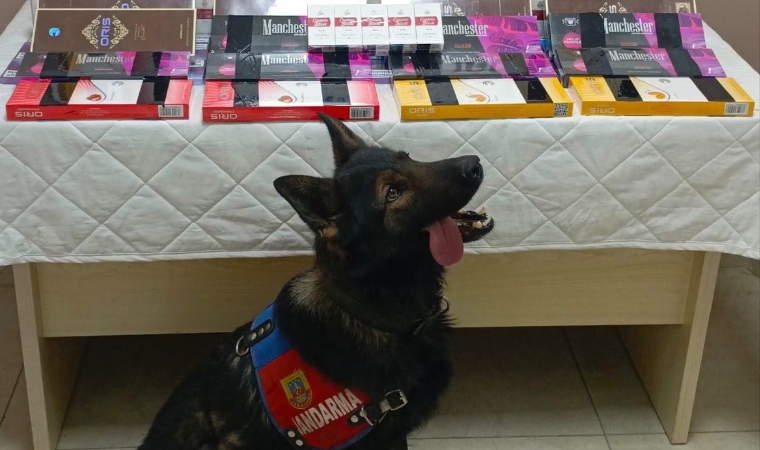 Jandarma’dan Şok Baskın: 700 Paket Kaçak Sigara Ele Geçirildi