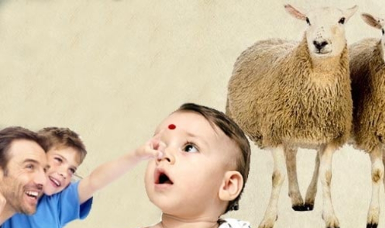 Kurban Kanı Alna Sürülür mü?