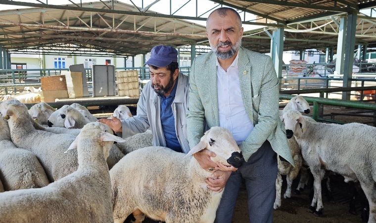 Kurban Pazarı Sessiz! 13 Bin TL'den Başlayan Fiyatlarla Kurbanlık Var Ama Alıcı Yok!