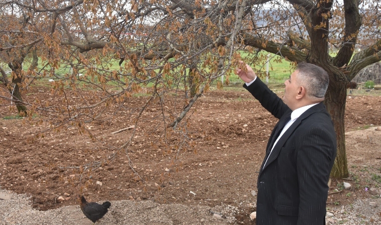 Malatya Çiftçisi Borçla Baş Başa Bırakıldı