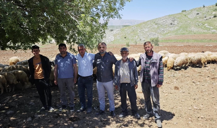 Malatya'da Yayla Göçü Başladı! 16 Saatlik Zorlu Yolculuk Sürüyor