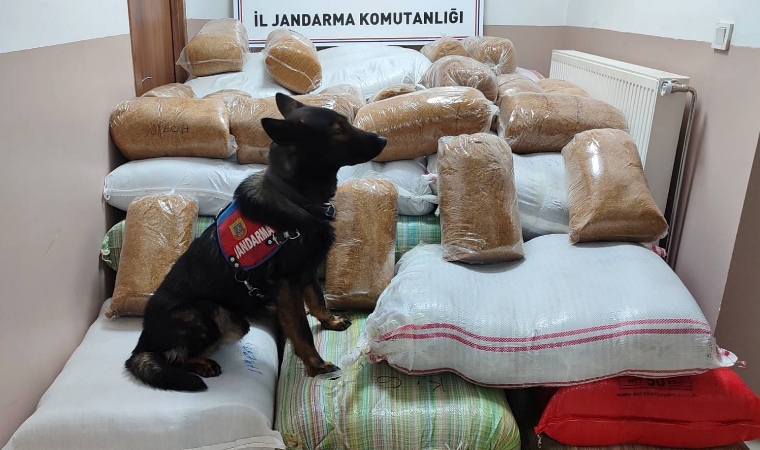 Otobüste Tütün Taşıyanlara Jandarma Geçit Vermedi