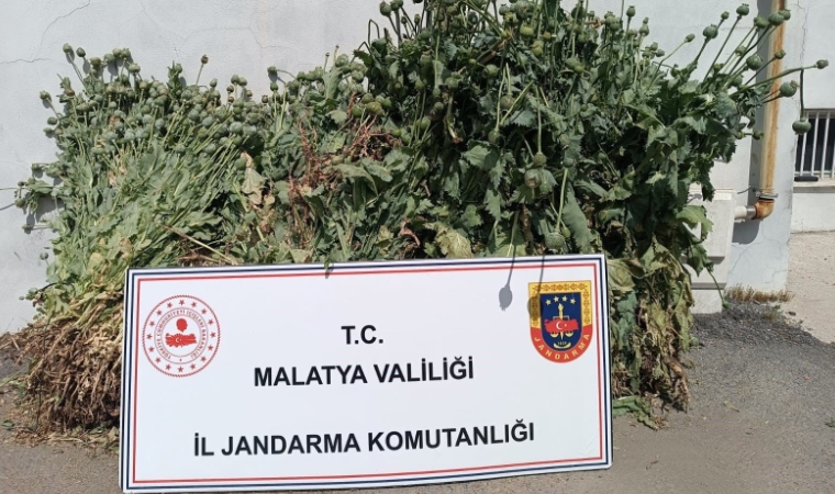 Uyuşturucuya Geçit Yok! Jandarmadan 6 Operasyon, 18 Gözaltı