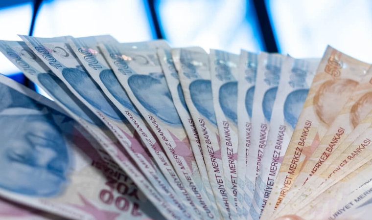 Devletin Bağladığı Maaş Miras Sayılır mı? Kardeşler Arasında Paylaşılmalı mı?