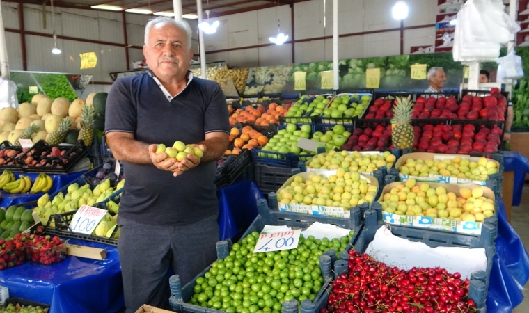 Kayısı Bu Yıl Cep Yakıyor: Malatya’da Yaş Kayısı 400 TL’den Tezgahta