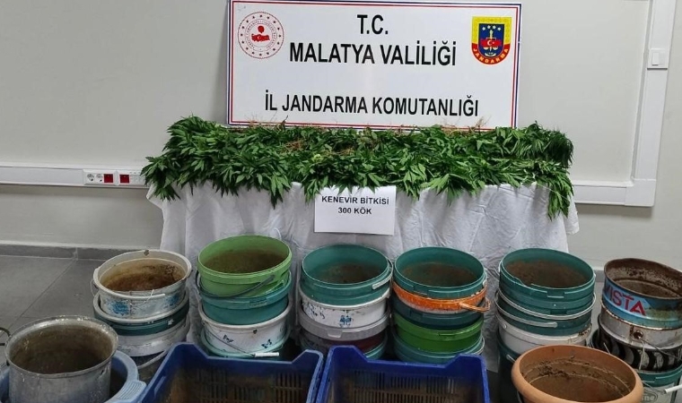 Malatya’da 3 İlçede Narkotik Operasyon: Silah, Esrar ve Sentetik Hap Ele Geçirildi!