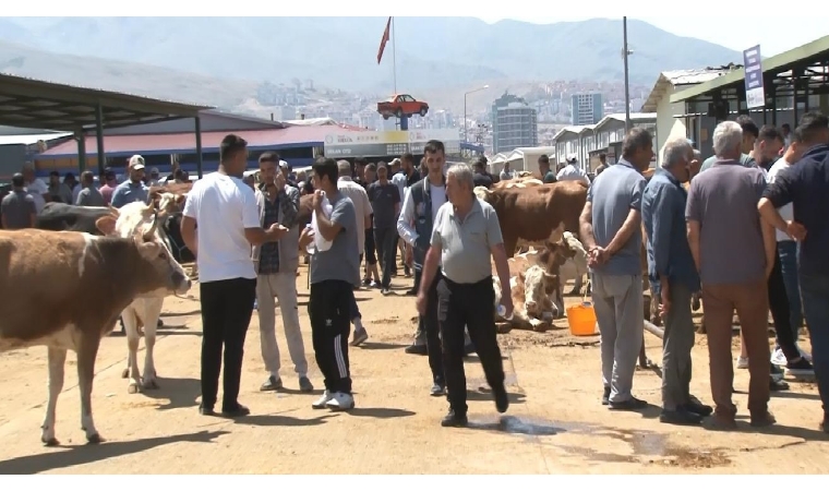 Malatya’da Kurbanlıklar Pahalı Gelince Talep Düşük Kaldı