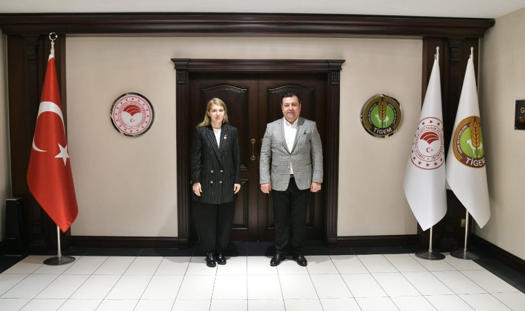 Sultansuyu’nda Üretim Altyapısı Yenileniyor