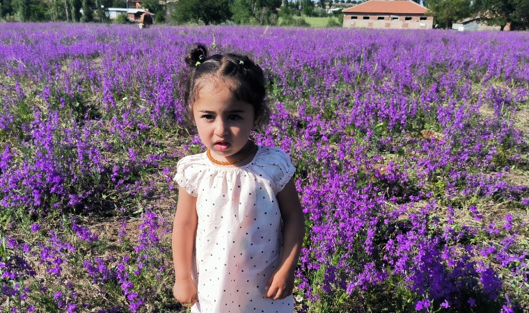 Yoldan Geçen Dönüp Bakıyor: Mor Güzellik Mest Etti!