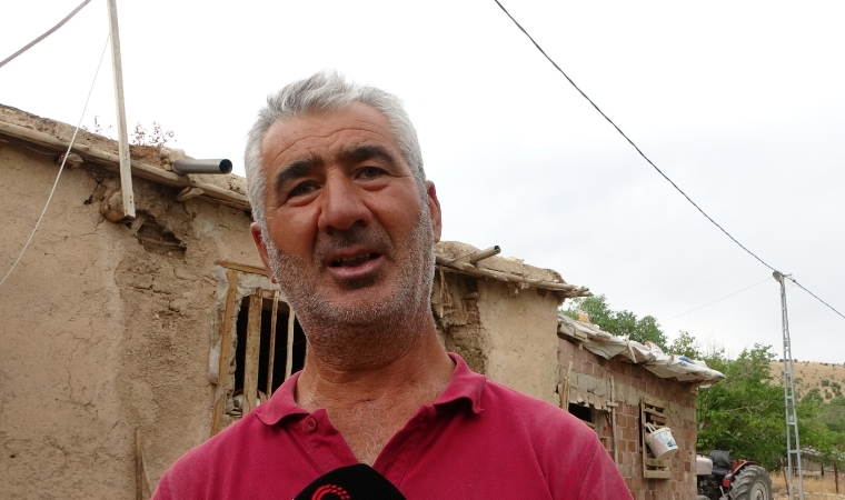 Akçadağ’da Doğan Buzağı Görenleri Şoke Etti