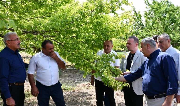 Battalgazi Muhtarlarından Ortak Ses: Kayısıya Destek Şart!